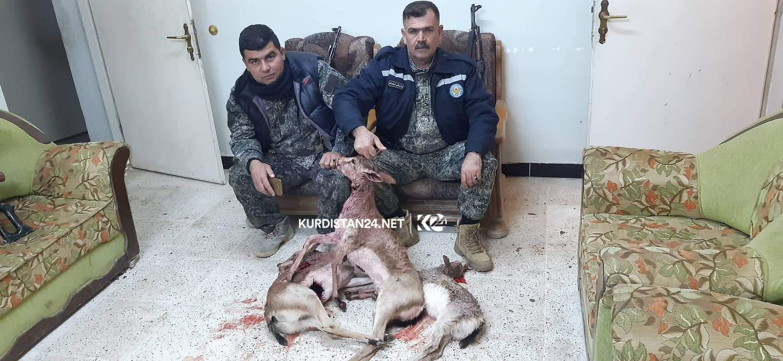 چەند راوچییەک لە گەرمیان سێ ئاسک دەکوژن